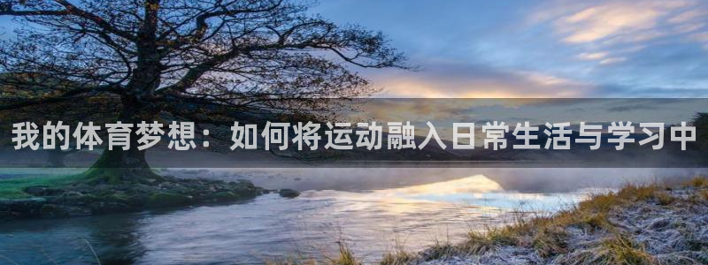 利记官方正版app集团：我的体育梦想：如何将运动融入