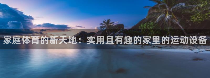 利记官方平台体育：家庭体育的新天地：实用且有趣的家里