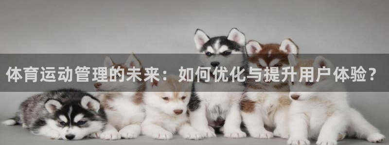 利记官网下载官方客服电话：体育运动管理的未来：如何优