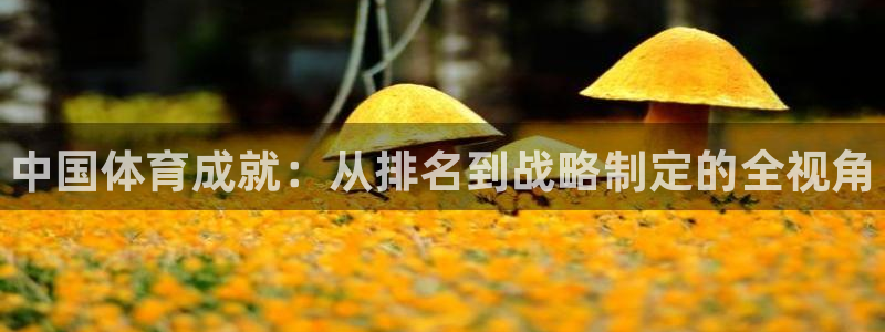 利记官网下载招商电话地址：中国体育成就：从排名到战略