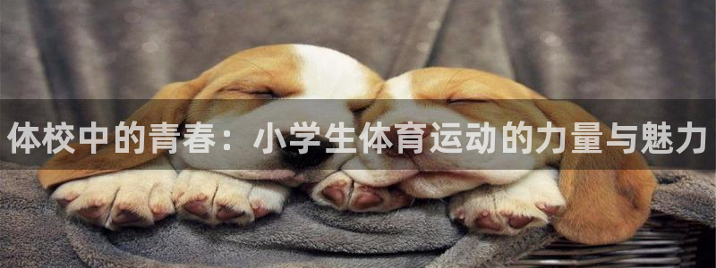 海南利记官网下载：体校中的青春：小学生体育运动的力量与魅力
