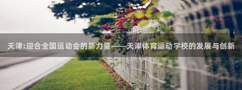 利记官方正版app集团logo：天津:迎合全国运动会