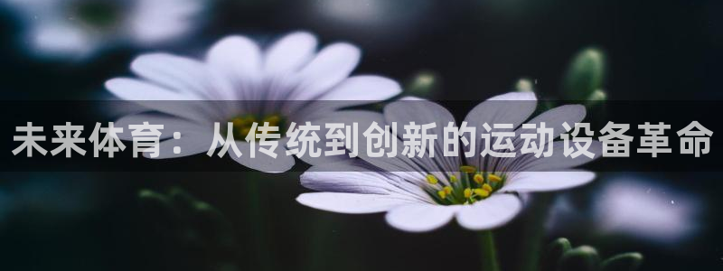 利记官方正版app神州：未来体育：从传统到创新的运动