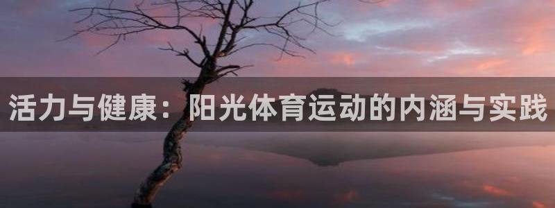 利记官方正版app代理：活力与健康：阳光体育运动的内