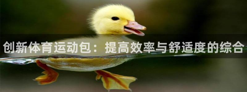 利记官网下载软件：创新体育运动包：提高效率与舒适度的