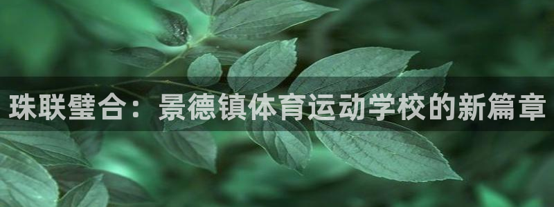 利记官网下载平台假的吗是真的吗：珠联璧合：景德镇体育