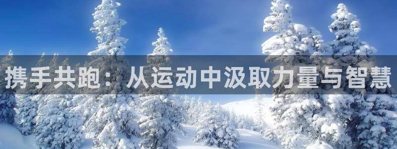 利记官网下载招商电话号码：携手共跑：从运动中汲取力量与智慧