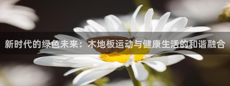 利记官网下载联系电话：新时代的绿色未来：木地板运动与