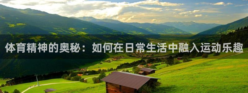 利记官方正版app新能源：体育精神的奥秘：如何在日常