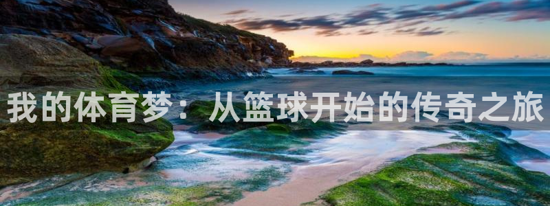 利记官网下载娱乐：我的体育梦：从篮球开始的传奇之旅