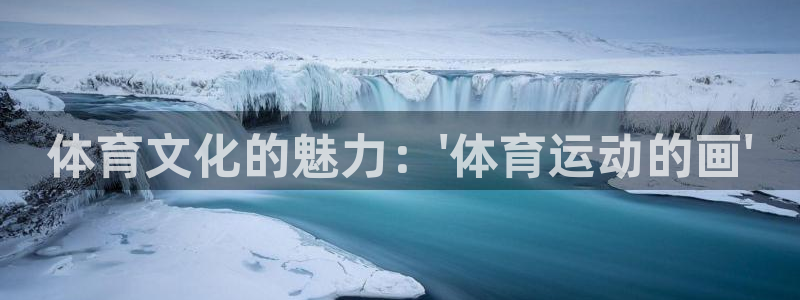 利记官方正版app娱乐是那个系列的台子：体育文化的魅