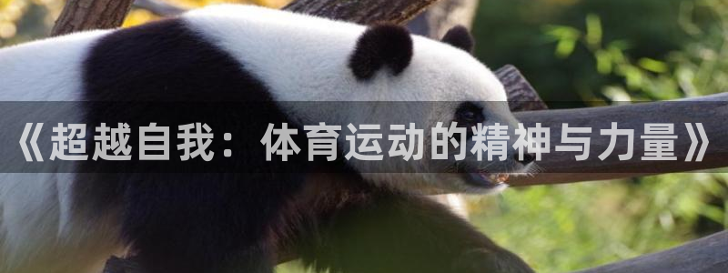 利记官方平台体育：《超越自我：体育运动的精神与力量》