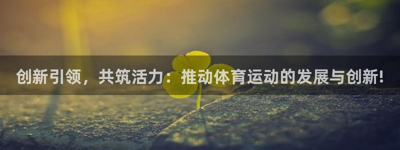 利记官网下载招商电话是多少：创新引领，共筑活力：推动体育运动