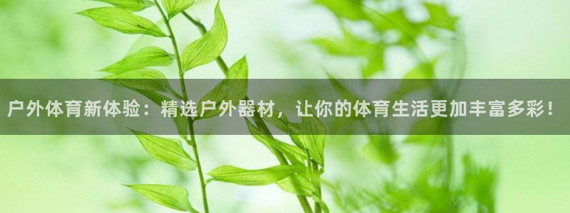 利记官网下载招商电话