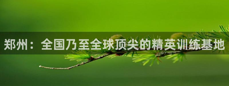 利记官网下载平台是正规平台吗安全吗：郑州：全国乃至全球顶尖的