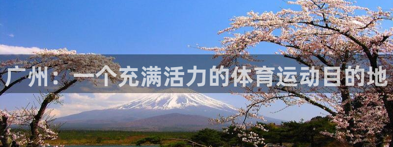 利记官方正版app神州