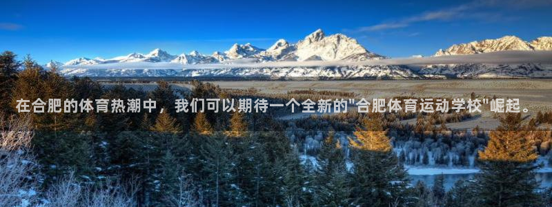 利记官网下载平台注册：在合肥的体育热潮中，我们可以期待一个全