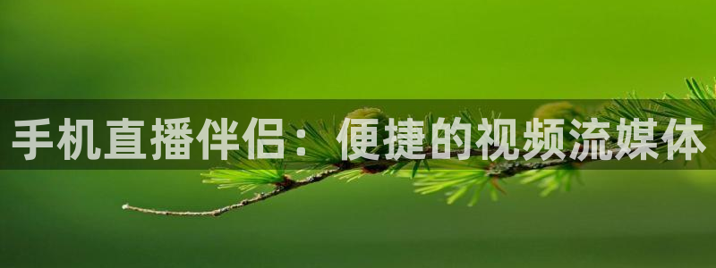 河豚体育足球直播