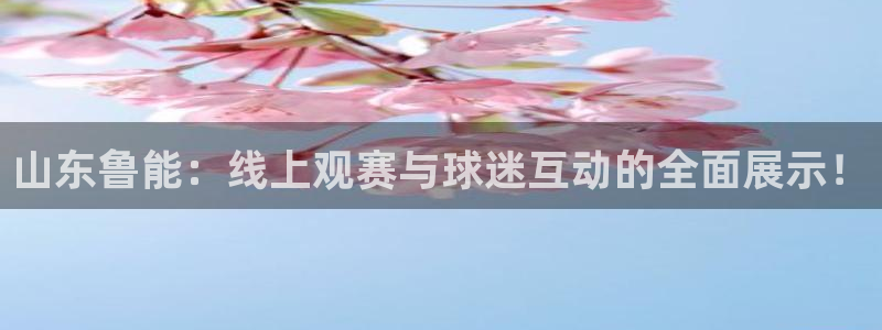河豚nba篮球直播在线观看：山东鲁能：线上观赛与球迷互动的全面展示！